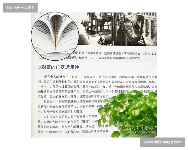 卡尔维纳与现代哲学思想的碰撞与融合：从理性批判到存在主义的跨越